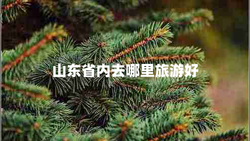 山東省內(nèi)去哪里旅游好 山東省內(nèi)去哪里旅游好