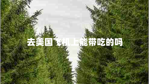 去美國飛機上能帶吃的嗎 去美國飛機上能帶吃的嗎