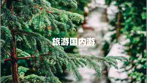 旅游國內(nèi)游 旅游國內(nèi)游