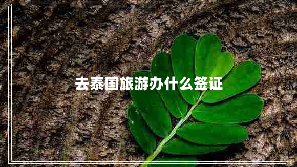 去泰國旅游辦什么簽證 去泰國旅游辦什么簽證