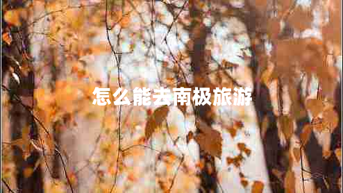 怎么能去南極旅游 怎么能去南極旅游