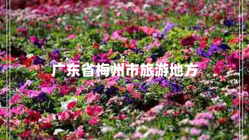 廣東省梅州市旅游地方 廣東省梅州市旅游地方