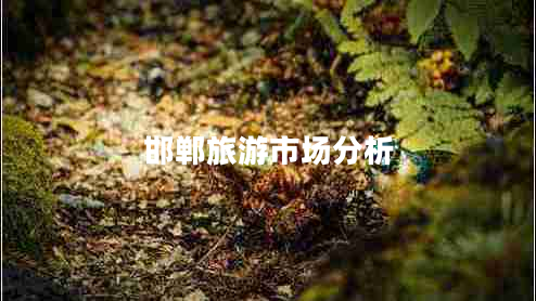 邯鄲旅游市場(chǎng)分析 邯鄲旅游市場(chǎng)分析