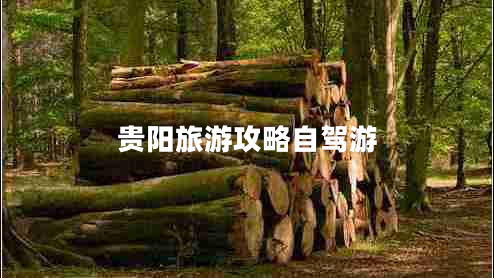 貴陽旅游攻略自駕游 貴陽旅游攻略自駕游