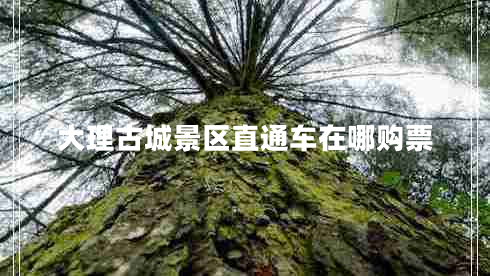 大理古城景區(qū)直通車在哪購票 大理古城景區(qū)直通車在哪購票