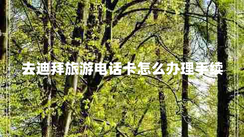 去迪拜旅游電話卡怎么辦理手續(xù)