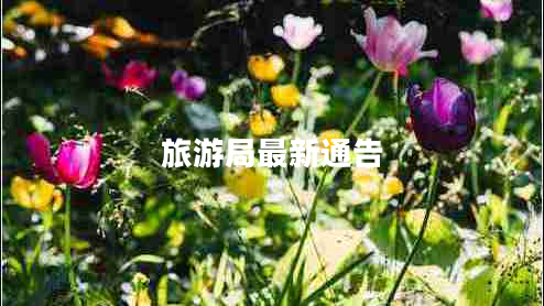 旅游局最新通告 旅游局最新通告