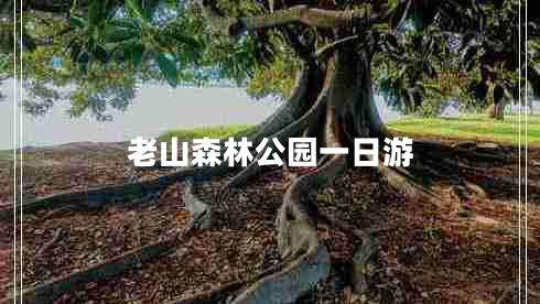 老山森林公園一日游