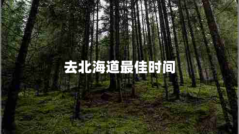 去北海道最佳時間 去北海道最佳時間