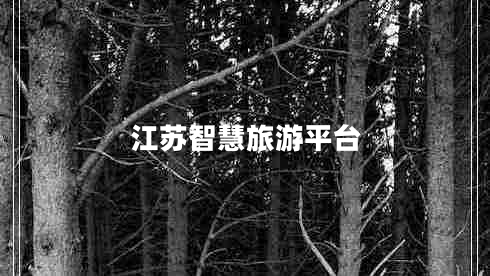 江蘇智慧旅游平臺(tái)