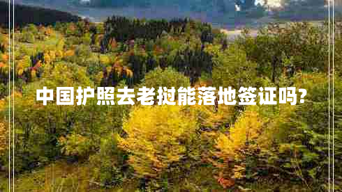 中國(guó)護(hù)照去老撾能落地簽證嗎?