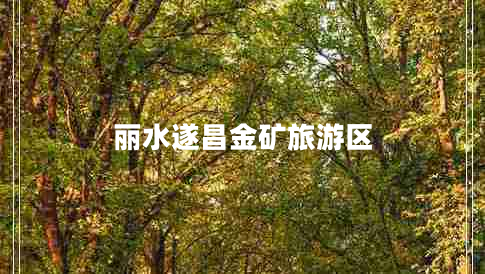 麗水遂昌金礦旅游區(qū)