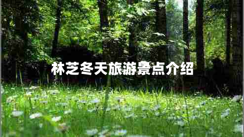 林芝冬天旅游景點介紹 林芝冬天旅游景點介紹