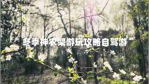 冬季神農(nóng)架游玩攻略自駕游 冬季神農(nóng)架游玩攻略自駕游