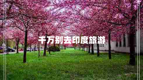 千萬(wàn)別去印度旅游 千萬(wàn)別去印度旅游