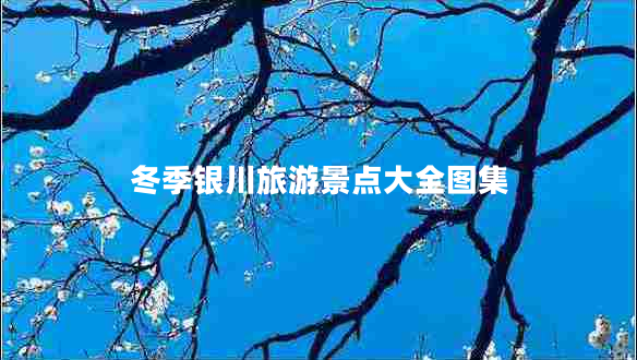 冬季銀川旅游景點(diǎn)大全圖集