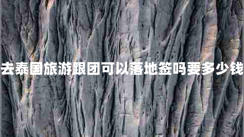 去泰國旅游跟團可以落地簽嗎要多少錢 去泰國旅游跟團可以落地簽嗎要多少錢