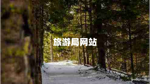 旅游局網(wǎng)站