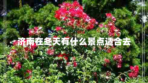 濟(jì)南在冬天有什么景點(diǎn)適合去