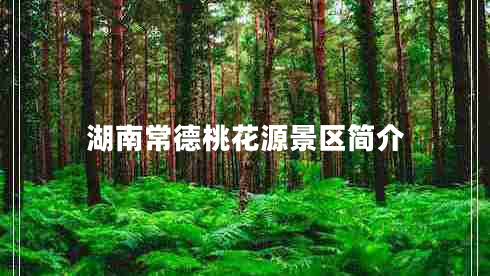 湖南常德桃花源景區(qū)簡介 湖南常德桃花源景區(qū)簡介