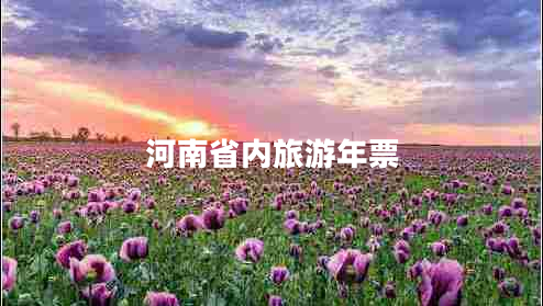 河南省內(nèi)旅游年票
