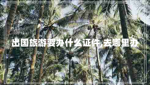 出國(guó)旅游要辦什么證件,去哪里辦 出國(guó)旅游要辦什么證件,去哪里辦