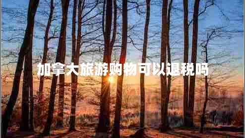 加拿大旅游購(gòu)物可以退稅嗎