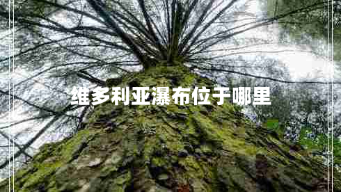 維多利亞瀑布位于哪里 維多利亞瀑布位于哪里