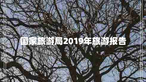 國(guó)家旅游局2019年旅游報(bào)告 國(guó)家旅游局2019年旅游報(bào)告