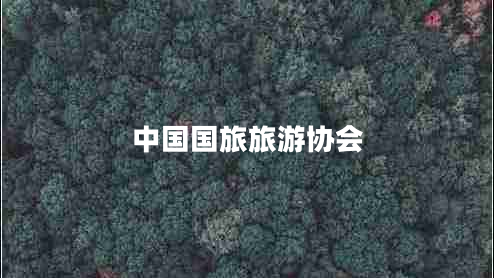 中國國旅旅游協(xié)會(huì) 中國國旅旅游協(xié)會(huì)