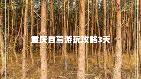 重慶自駕游玩攻略3天