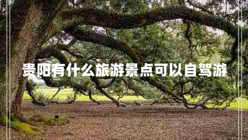 貴陽有什么旅游景點可以自駕游