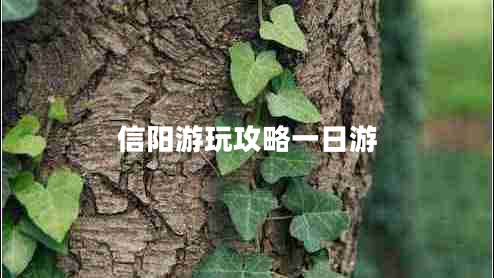 信陽(yáng)游玩攻略一日游