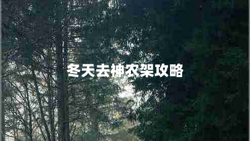 冬天去神農(nóng)架攻略 冬天去神農(nóng)架攻略