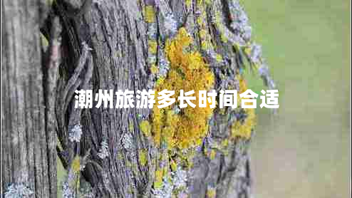 潮州旅游多長(zhǎng)時(shí)間合適 潮州旅游多長(zhǎng)時(shí)間合適