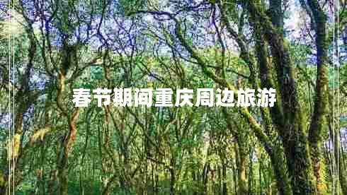 春節(jié)期間重慶周邊旅游 春節(jié)期間重慶周邊旅游