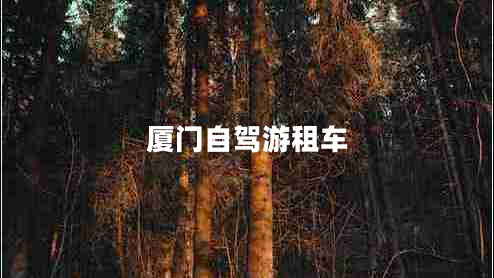 廈門自駕游租車 廈門自駕游租車