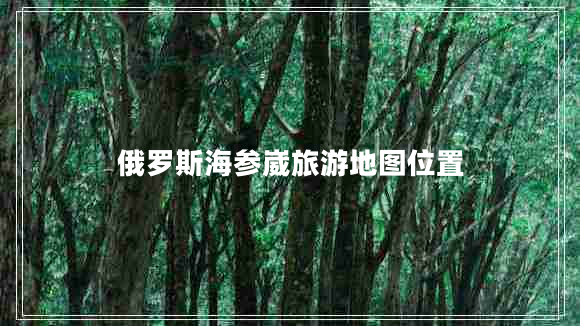 俄羅斯海參崴旅游地圖位置 俄羅斯海參崴旅游地圖位置