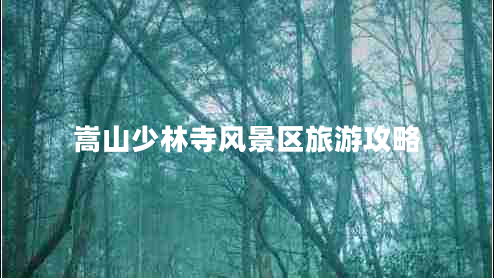 嵩山少林寺風(fēng)景區(qū)旅游攻略 嵩山少林寺風(fēng)景區(qū)旅游攻略