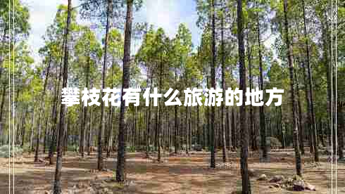 攀枝花有什么旅游的地方 攀枝花有什么旅游的地方