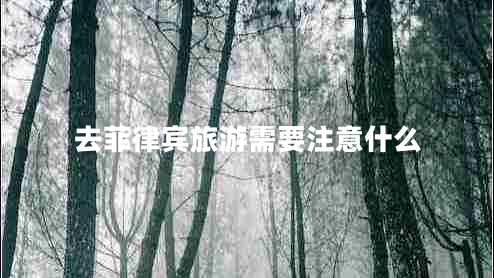 去菲律賓旅游需要注意什么 去菲律賓旅游需要注意什么