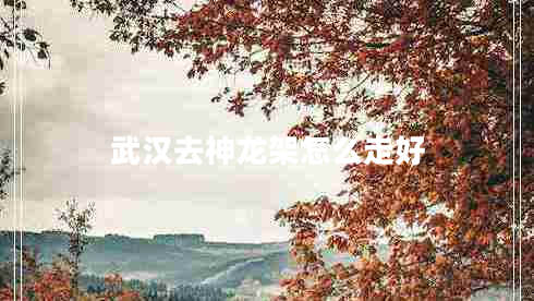 武漢去神龍架怎么走好 武漢去神龍架怎么走好