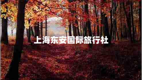 上海東安國際旅行社 上海東安國際旅行社