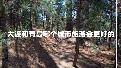 大連和青島哪個(gè)城市旅游會(huì)更好的