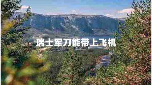 瑞士軍刀能帶上飛機 瑞士軍刀能帶上飛機