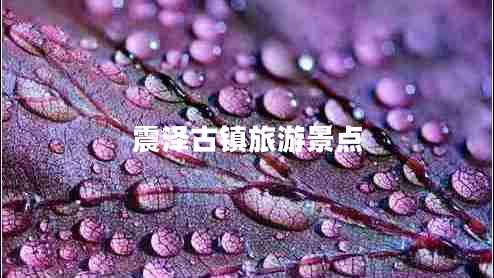 震澤古鎮(zhèn)旅游景點(diǎn) 震澤古鎮(zhèn)旅游景點(diǎn)