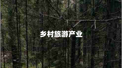鄉(xiāng)村旅游產(chǎn)業(yè) 鄉(xiāng)村旅游產(chǎn)業(yè)