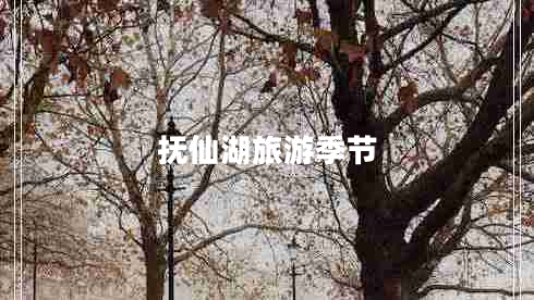 撫仙湖旅游季節(jié) 撫仙湖旅游季節(jié)