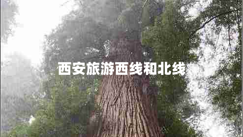 西安旅游西線和北線 西安旅游西線和北線
