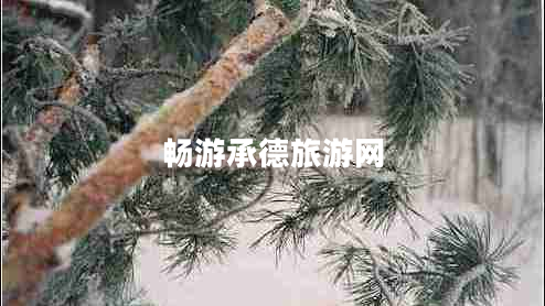暢游承德旅游網(wǎng) 暢游承德旅游網(wǎng)